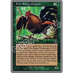 Free Range Chicken comune (EN) -NEAR MINT-