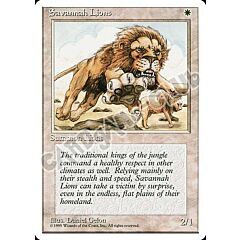 Savannah Lions rara (EN) -NEAR MINT-
