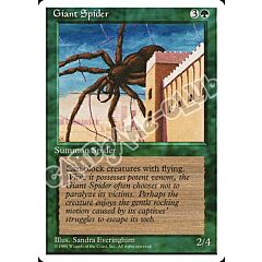 Giant Spider comune (EN) -NEAR MINT-