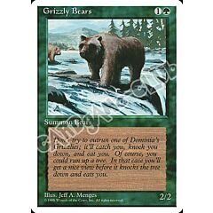 Grizzly Bears comune (EN) -NEAR MINT-