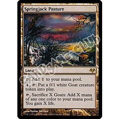 179 / 180 Springjack Pasture rara (EN) -NEAR MINT-