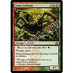 143 / 165 Giant Solifuge rara (EN) -NEAR MINT-