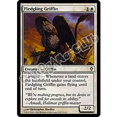 005 / 145 Fledgling Griffin comune (EN) -NEAR MINT-