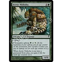 102 / 155 Arctic Nishoba non comune (EN) -NEAR MINT-