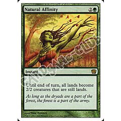 256 / 350 Natural Affinity rara (EN) -NEAR MINT-