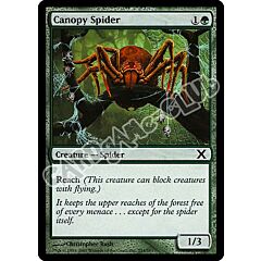 254 / 383 Canopy Spider comune (EN) -NEAR MINT-