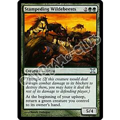 300 / 383 Stampeding Wildebeests non comune (EN) -NEAR MINT-