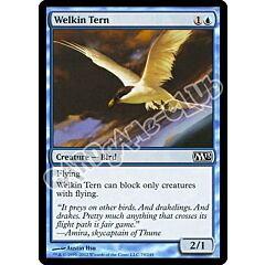 079 / 249 Welkin Tern comune (EN) -NEAR MINT-