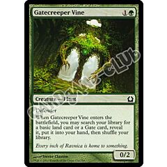 124 / 274 Gatecreeper Vine comune (EN) -NEAR MINT-