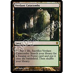 229 / 249 Verdant Catacombs rara (EN) -NEAR MINT-