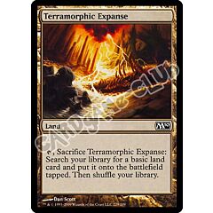 229 / 249 Terramorphic Expanse comune (EN) -NEAR MINT-