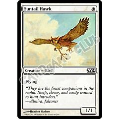 040 / 249 Suntail Hawk comune (EN) -NEAR MINT-