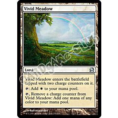229 / 229 Vivid Meadow non comune (EN) -NEAR MINT-