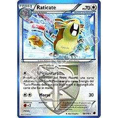 088 / 116 Raticate rara (IT) -NEAR MINT-