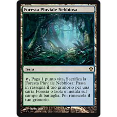 220 / 249 Foresta Pluviale Nebbiosa rara (IT) -NEAR MINT-