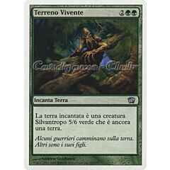 260 / 350 Terreno Vivente non comune (IT) -NEAR MINT-