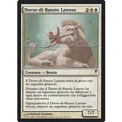 025 / 155 Dorso-di-Rasoio Lanoso rara (IT) -NEAR MINT-
