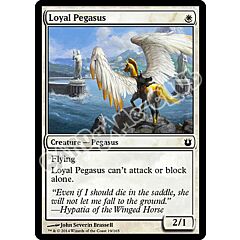 019 / 165 Loyal Pegasus comune (EN) -NEAR MINT-