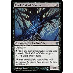 062 / 165 Black Oak of Odunos non comune (EN) -NEAR MINT-