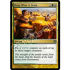 154 / 165 Reap What Is Sown non comune (EN) -NEAR MINT-