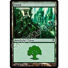 88 / 88 Forest comune (EN) -NEAR MINT-