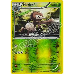 006 / 106 Nuzleaf non comune foil reverse (EN) -NEAR MINT-