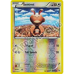 081 / 106 Sentret comune foil reverse (EN) -NEAR MINT-