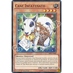 BP03-IT080 Cane Incatenato comune 1a edizione (IT) -NEAR MINT-