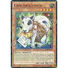 BP03-IT080 Cane Incatenato comune shatter foil 1a edizione (IT) -NEAR MINT-