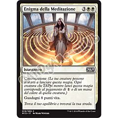 019 / 269 Enigma della Meditazione comune (IT) -NEAR MINT-