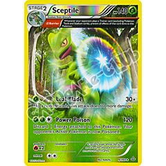 009 / 164 Sceptile rara foil reverse (EN) -NEAR MINT-