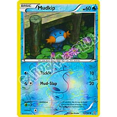 033 / 164 Mudkip comune foil reverse (EN) -NEAR MINT-