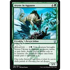 Draghi di Tarkir 192 / 264 Arynx in Agguato non comune (IT) -NEAR MINT-