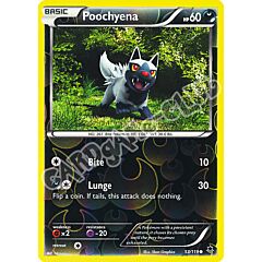 053 / 119 Poochyena comune foil reverse (EN)