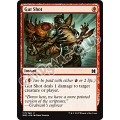 117 / 249 Gut Shot comune (EN) -NEAR MINT-