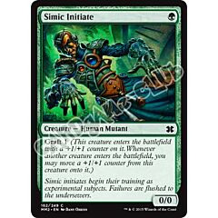 162 / 249 Simic Initiate comune (EN) -NEAR MINT-