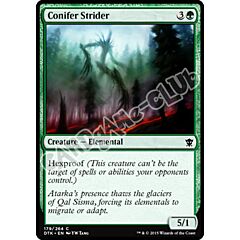 179 / 264 Conifer Strider comune (EN) -NEAR MINT-