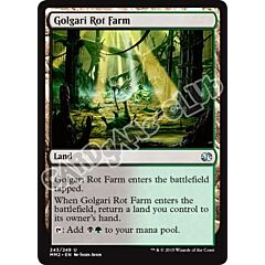 243 / 249 Golgari Rot Farm non comune (EN) -NEAR MINT-
