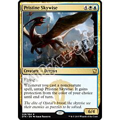 228 / 264 Pristine Skywise rara (EN) -NEAR MINT-