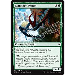 173 / 274 Mantide Gigante comune (IT) -NEAR MINT-