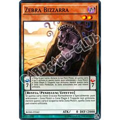 BOSH-IT042 Zebra Bizzarra comune unlimited (IT) -NEAR MINT-