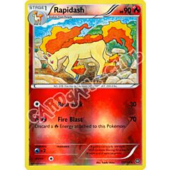 017 / 114 Rapidash non comune foil reverse (EN) -NEAR MINT-