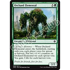 068 / 221 Orchard Elemental comune (EN) -NEAR MINT-