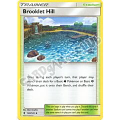 120 / 145 Brooklet Hill non comune normale (EN) -NEAR MINT-