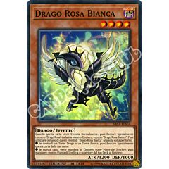SAST-ITSE4 Drago Rosa Bianca super rara Edizione Limitata (IT) -NEAR MINT-