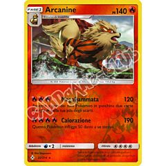 022 / 214 Arcanine rara foil reverse (IT) -NEAR MINT-