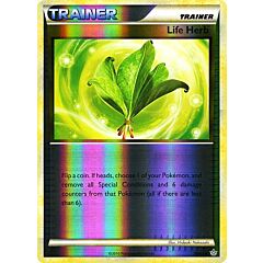 79 / 95 Life Herb non comune foil reverse (EN) -NEAR MINT-