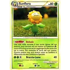 031 / 123 Sunflora rara (IT) -NEAR MINT-