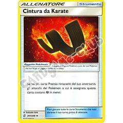 201 / 236 Cintura da Karate non comune normale (IT) -NEAR MINT-