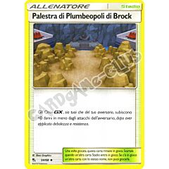 54 / 68 Palestra di Plumbeopoli di Brock non comune normale (IT) -NEAR MINT-